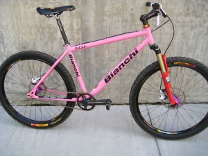 A Bianchi PUSS (Pink Ugly Single Speed)