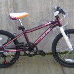 Raleigh Lily $179