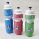 Polar Insulated bottles