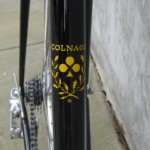 Colnago decal