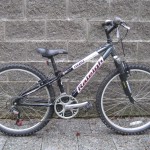 XS Raleigh M20 $239