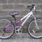XS Raleigh $239